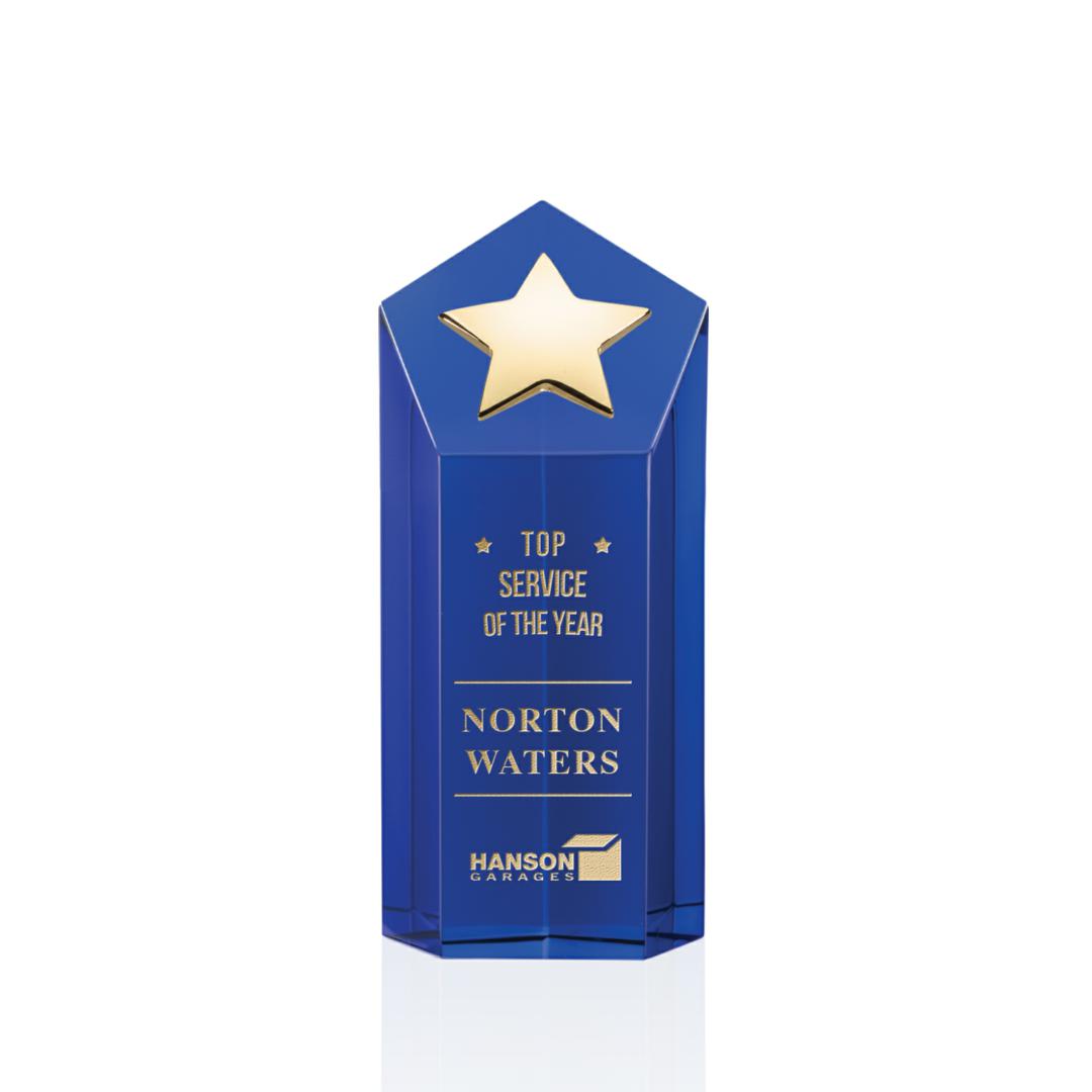 Dorchester Gold Star Award