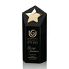 Dorchester Gold Star Award