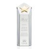 Dorchester Gold Star Award