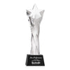 Arlington Star Award on Robson Base