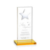 Dallas Star Award