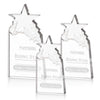 Augustine Award