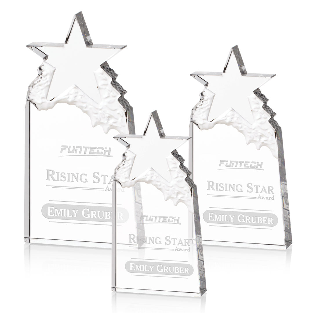 Augustine Award — OPS73_