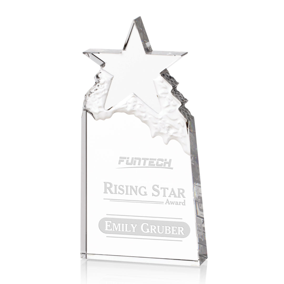 Augustine Award