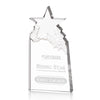 Augustine Award
