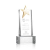 Fanshaw Gold Star Award on Base
