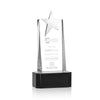 Fanshaw Silver Star Award on Base