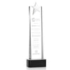 Fanshaw Silver Star Award on Base