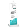 Bryanston Chrome Star VividPrint™ Award - Clear