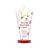 Mantella Gold Star VividPrint™ Award - Red