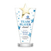Mantella Gold Star VividPrint™ Award