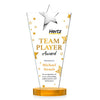 Mantella Chrome Star VividPrint™ Award - Amber