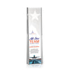 Artemus Star VividPrint™ Award