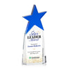 Vernon Star Vividprint™ Award