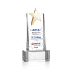 Fanshaw Gold Star VividPrint™ Award on Base