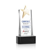 Fanshaw Gold Star VividPrint™ Award on Base