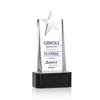 Fanshaw Silver Star VividPrint™ Award on Base