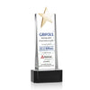 Fanshaw Gold Star VividPrint™ Award on Base