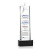 Fanshaw Silver Star VividPrint™ Award on Base