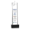 Fanshaw Silver Star VividPrint™ Award on Base