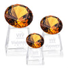 Fortino Award - Amber