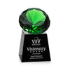 Fortino Award - Black/Emerald