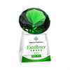 Fortino VividPrint™ Award - Emerald