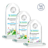 Blake Globe VividPrint™ Award - Starfire