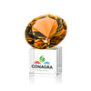Amber on Cube VividPrint™ Award