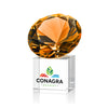Amber on Cube VividPrint™ Award