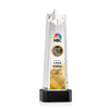 Delaware Star VividPrint™ Award on Base - Black