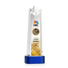 Delaware Star VividPrint™ Award on Base