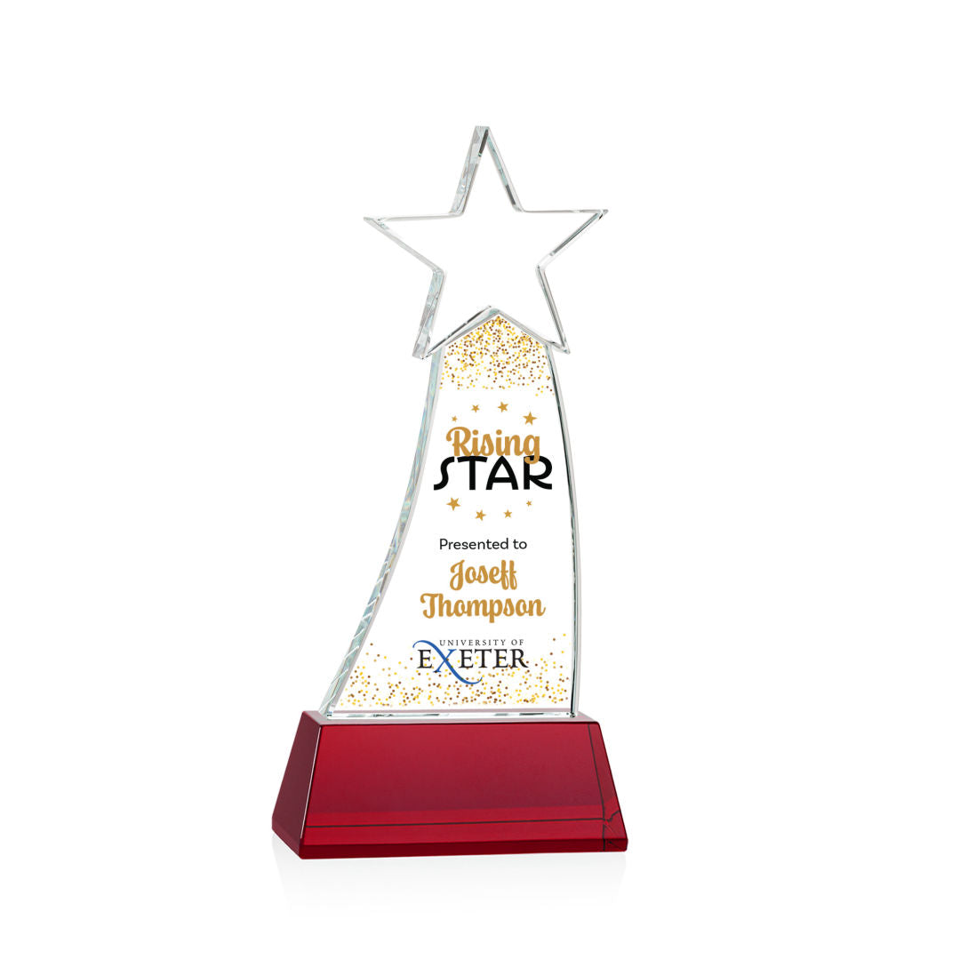 Manolita VividPrint™ Award