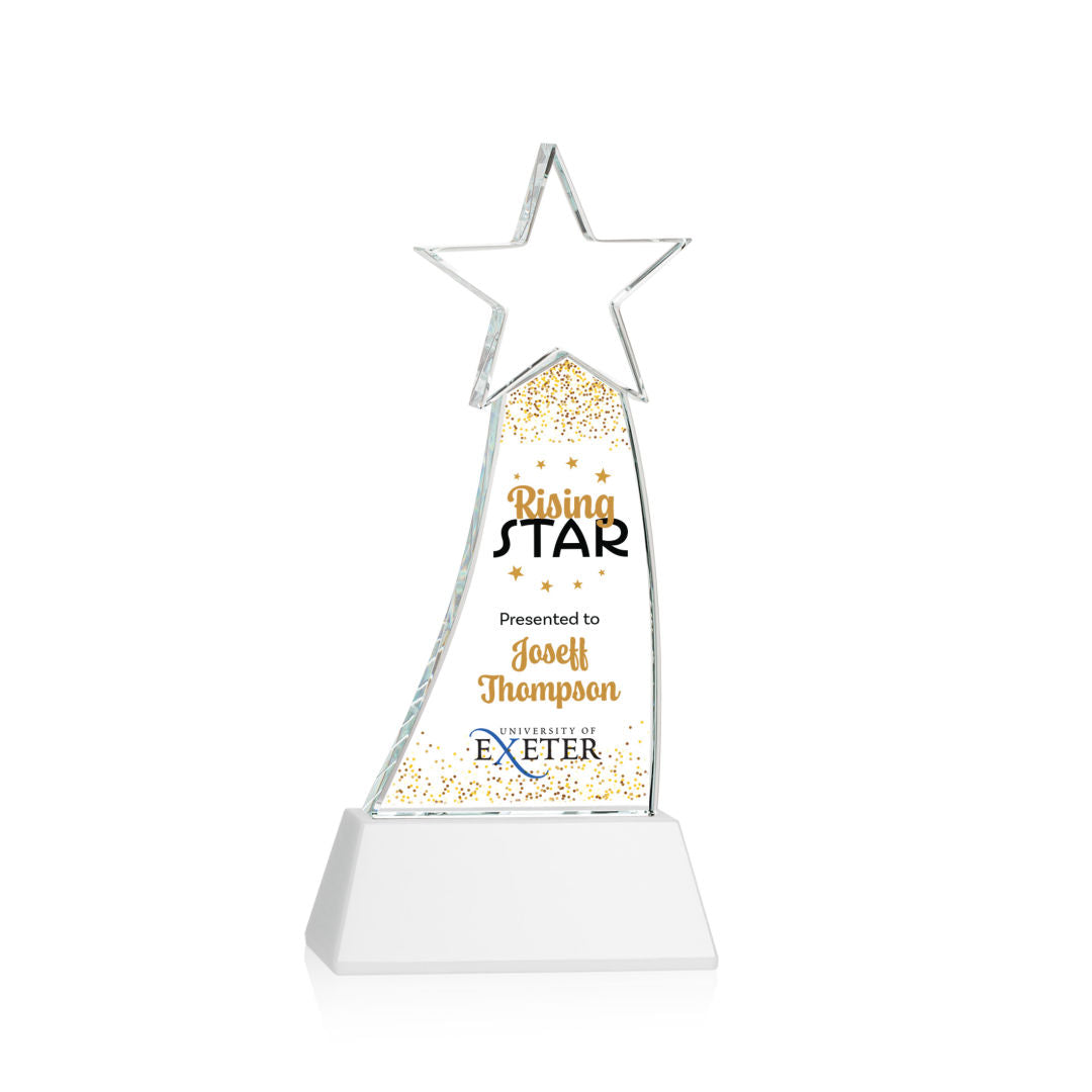 Manolita VividPrint™ Award