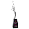 Star Goddess VividPrint™ Award