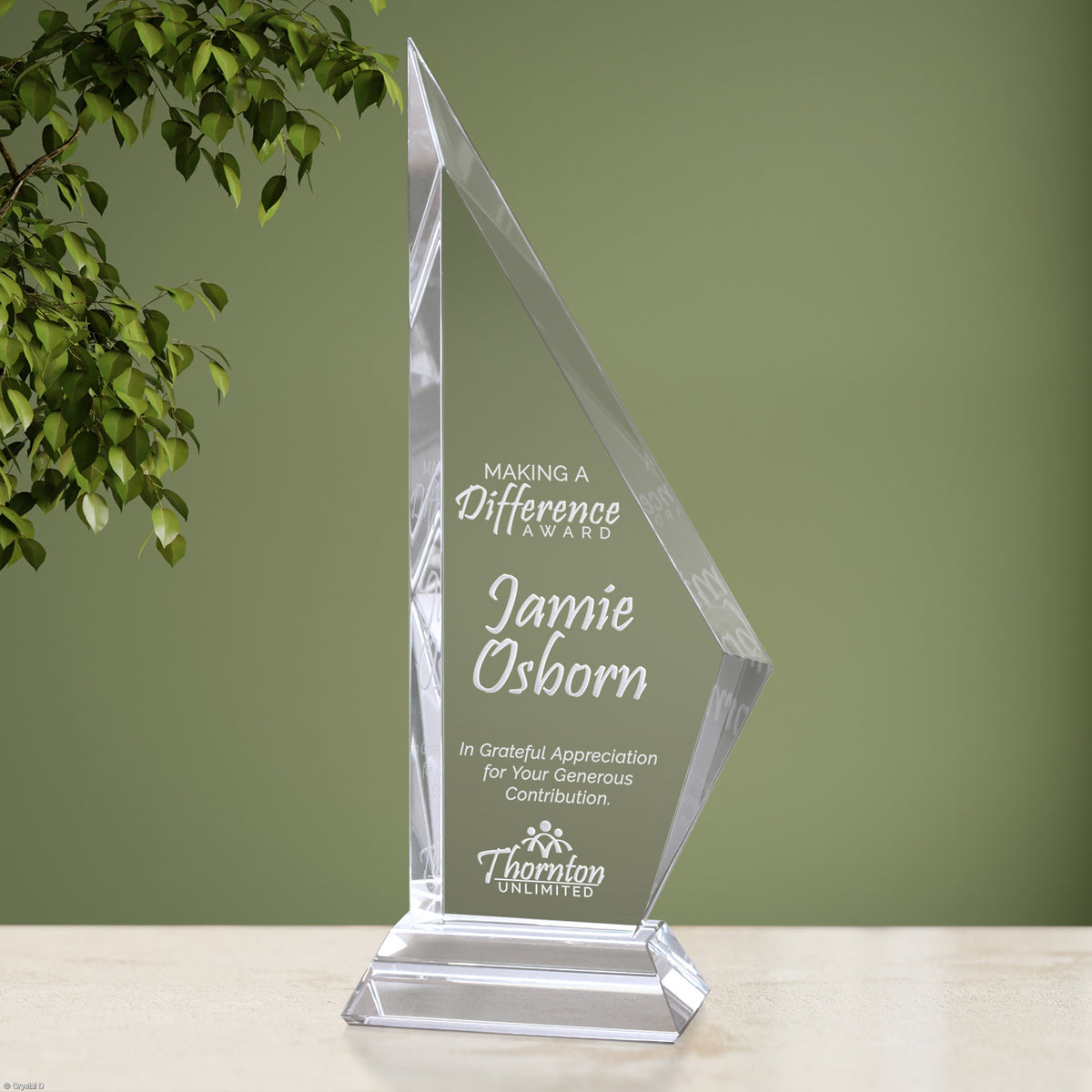 Starboard Award 13" - Crystal D