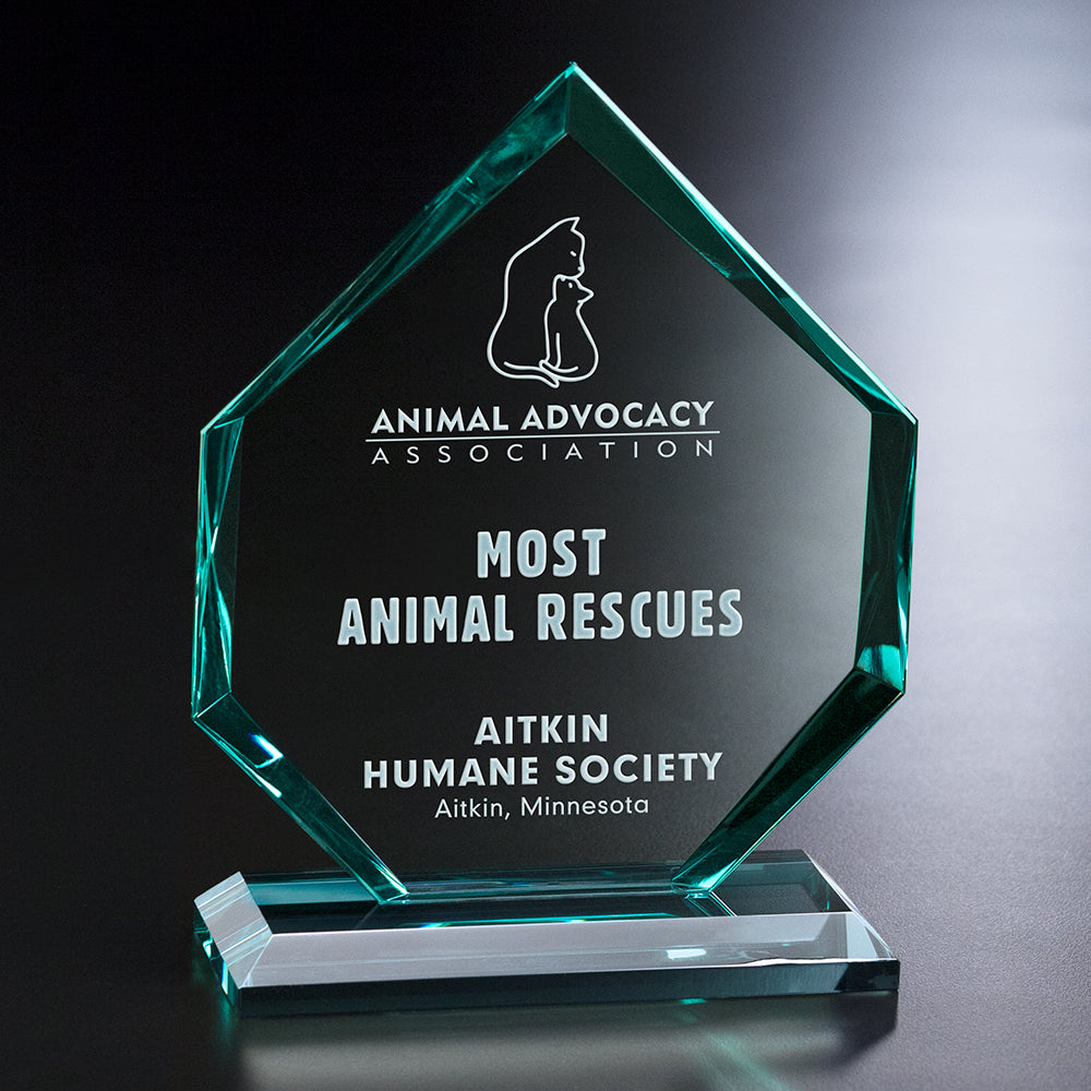 Titan Award 6-1/2" - Crystal D