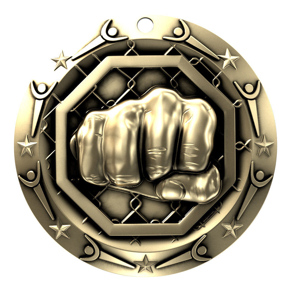 MMA World Class