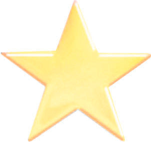 Gold Star Service
